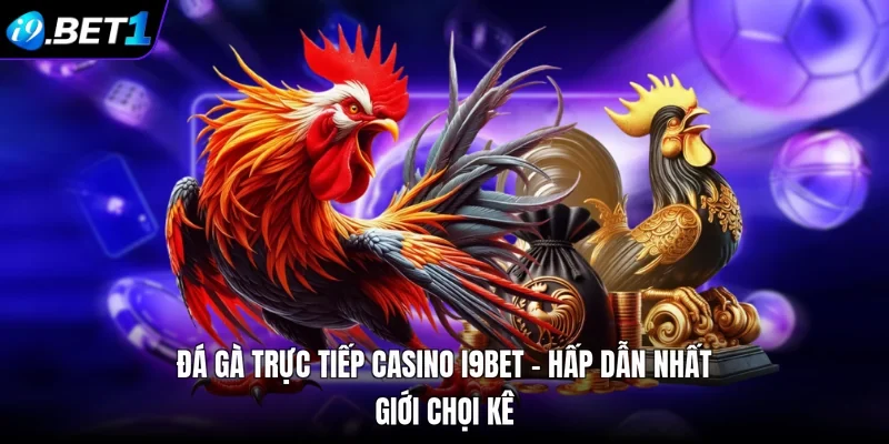 Đá Gà Trực Tiếp Casino i9bet - Hấp Dẫn Nhất Giới Chọi Kê
