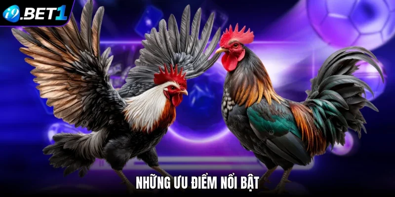 Những ưu điểm nổi bật